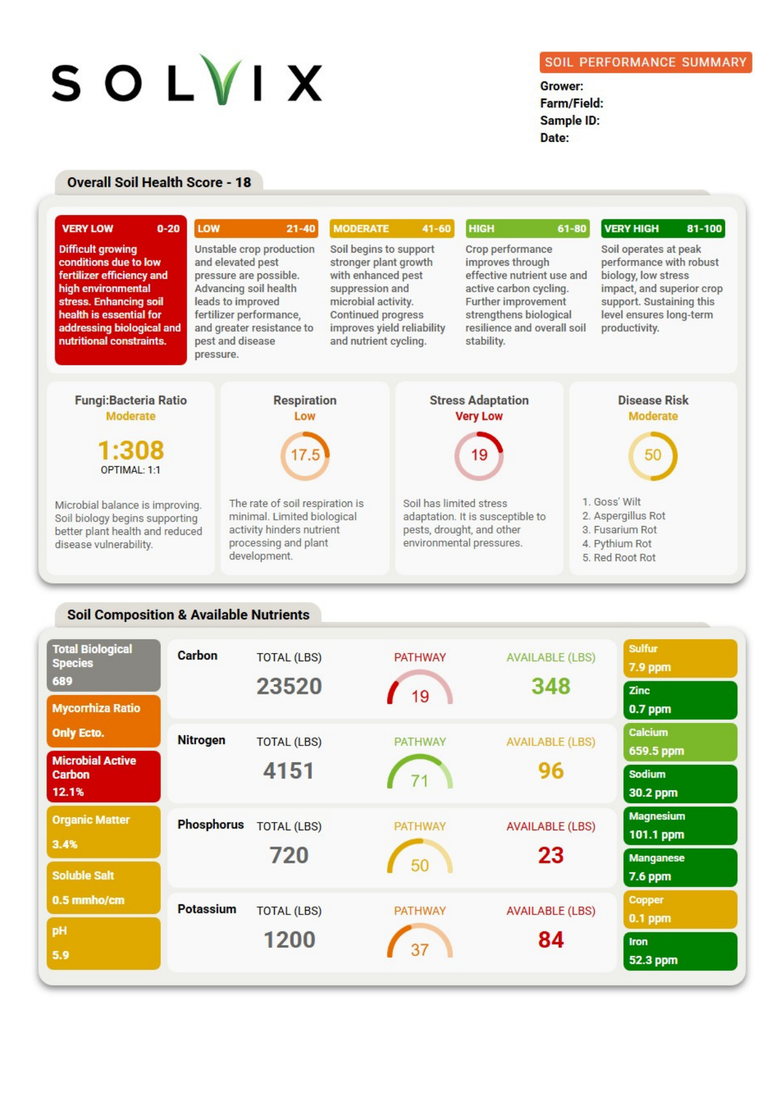 Sample Solvix SPS report preview